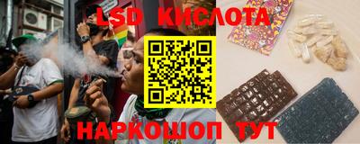 apvp Бийск