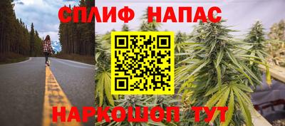 apvp Бийск